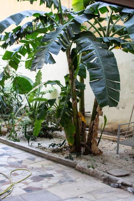 Garden Apt Apartment Athens Exterior photo